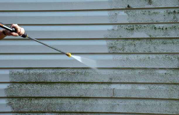 Best Patio and Deck Pressure Washing  in Royal Palm Beach, FL